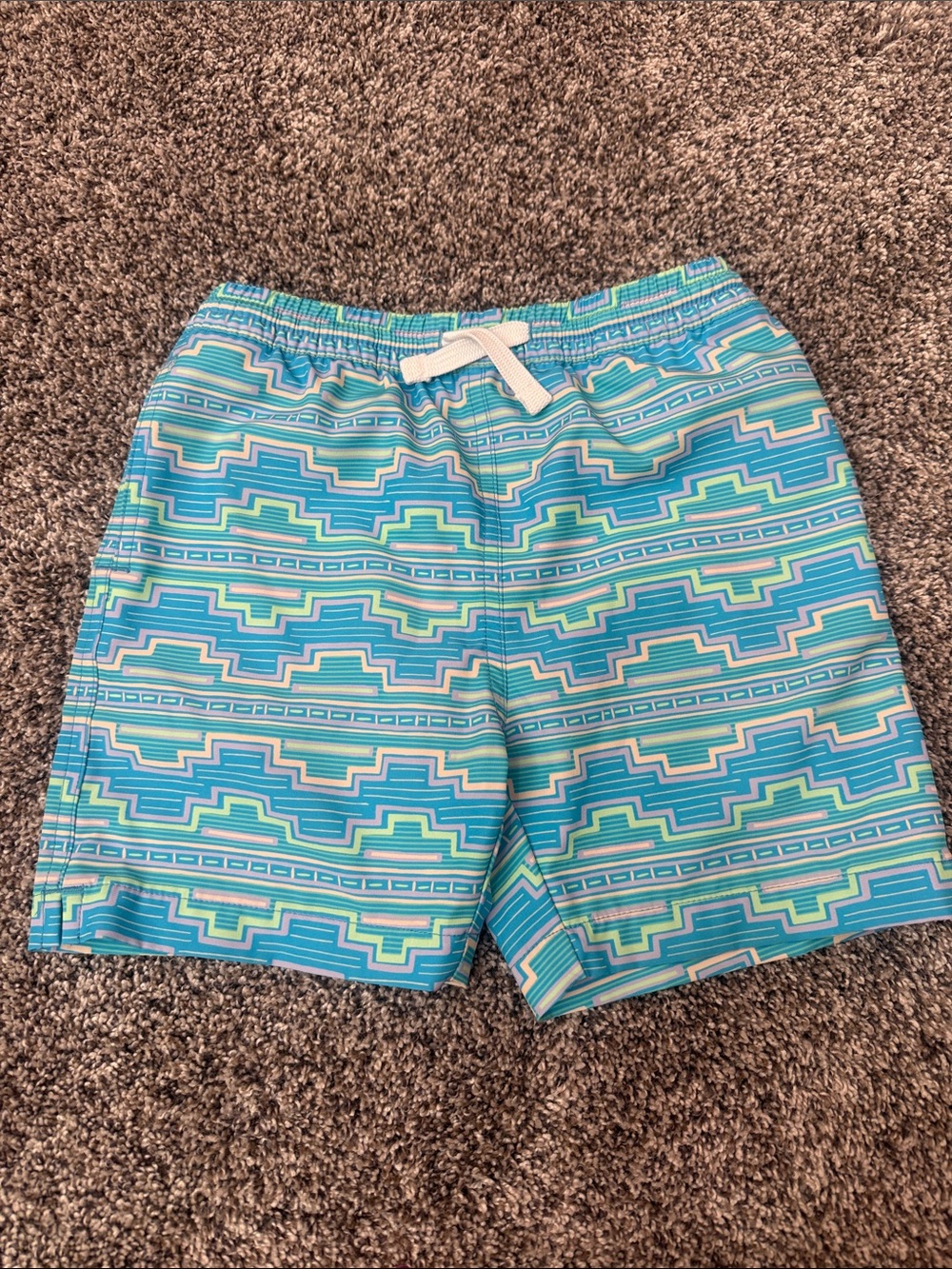 Chubbies kids swim trunks (with mesh lining)